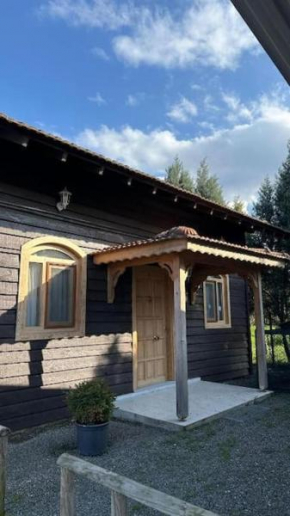 Serbesler Botanik, No 4 Wooden House